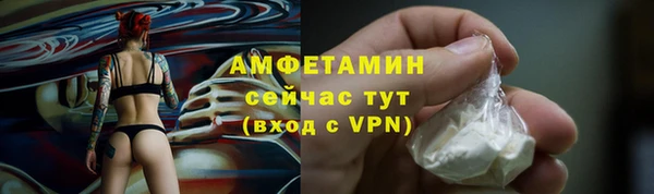 стаф Иннополис