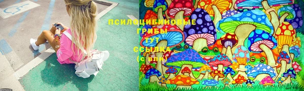 таблы Инта